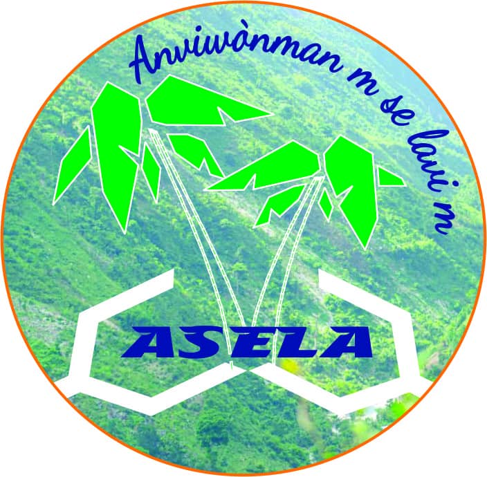 ASELA 