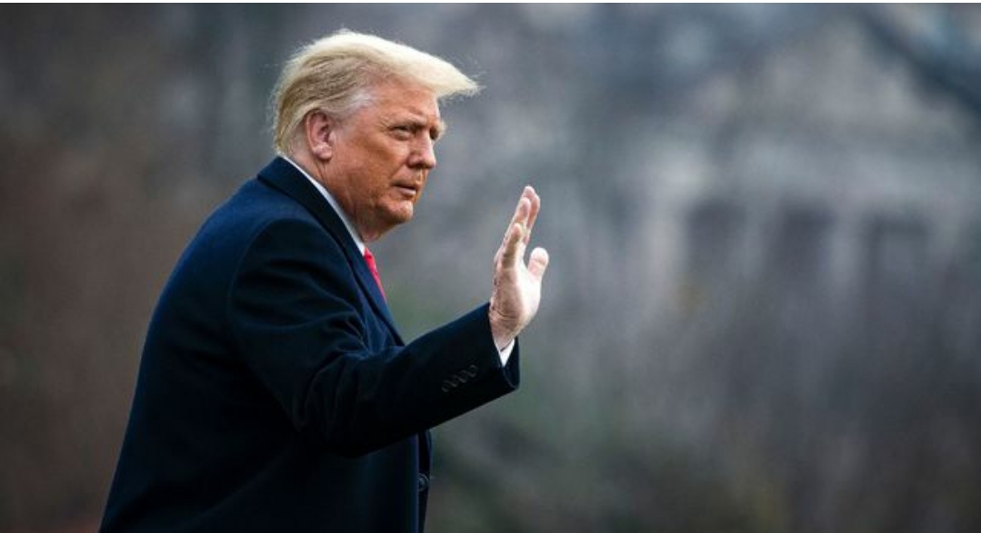 Donald Trump, ex président des USA 