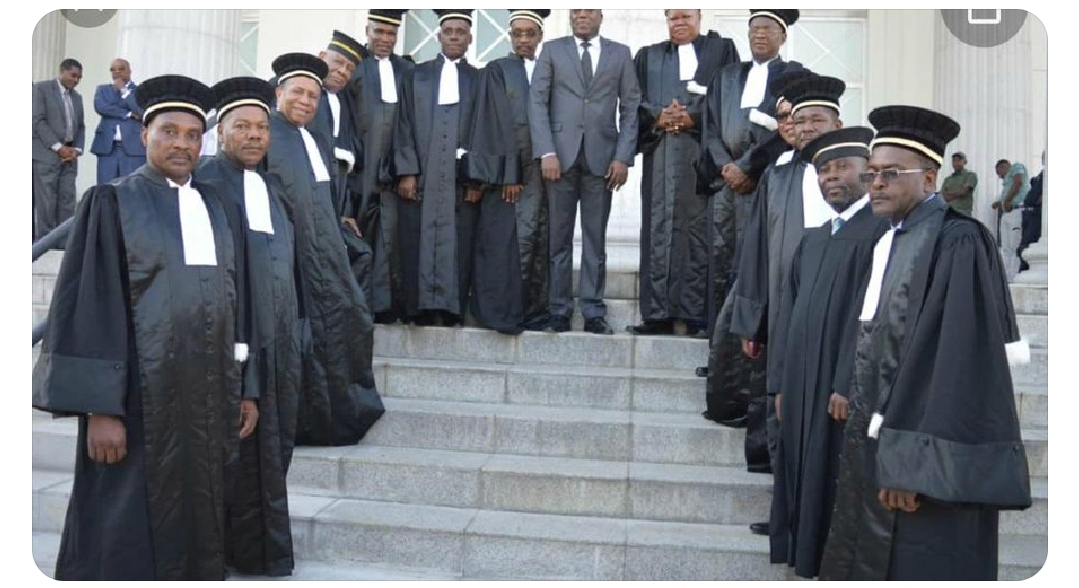 Les juges de la Cour de Cassation 