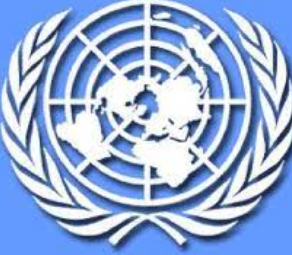 Organisation des Nations Unies ( ONU) 