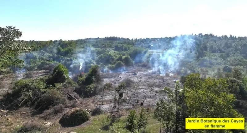 Incendie au Jardin botanique des Cayes