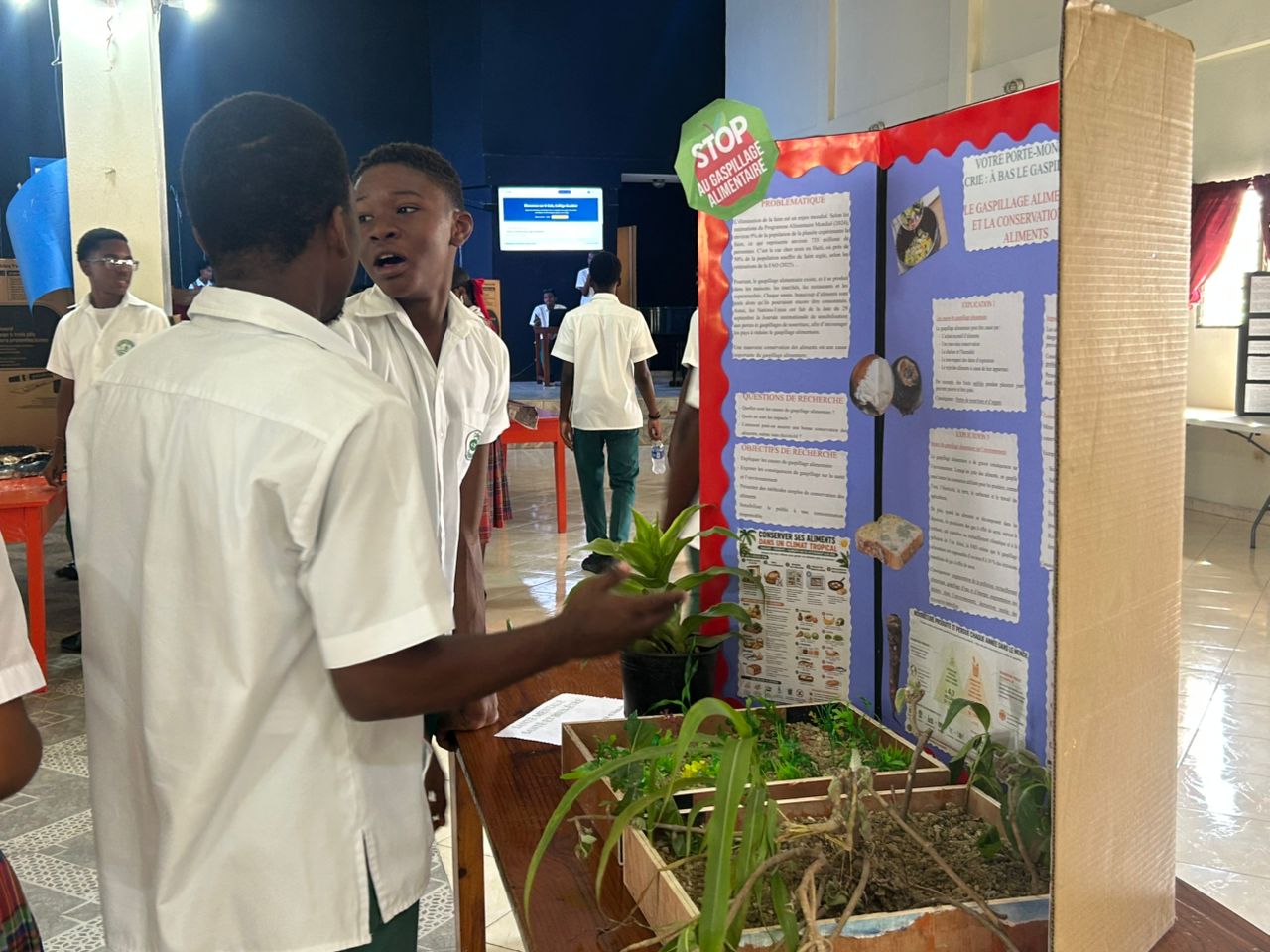 le Collège d’Extension met en lumière l’innovation pédagogique 