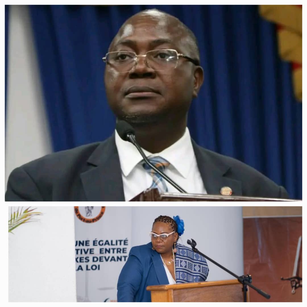la Chambre de commerce et de l'industrie haïtiano-africaine (CCHA)
