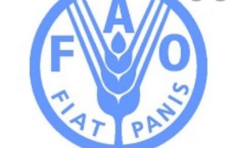 Credit photo: FAO 