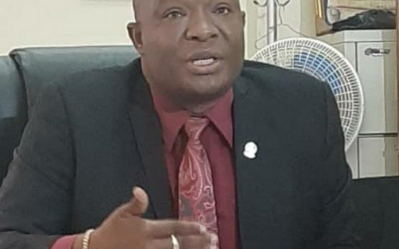 Gabriel Ducarmel, Comm du Gvnt de P-au-P