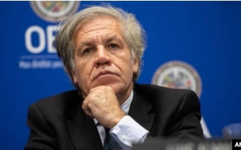 Luis Almagro, Sec Gén de l'OEA