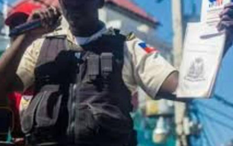 Abelson Gros Nègre, constitution en main 