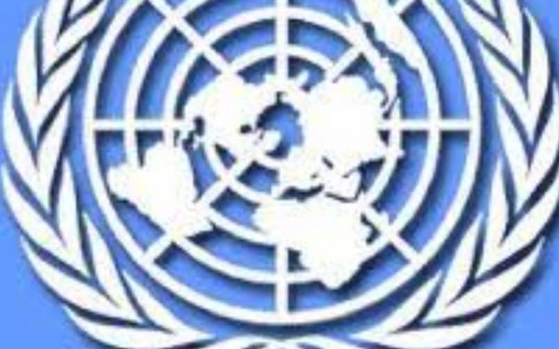 Organisation des Nations Unies ( ONU) 