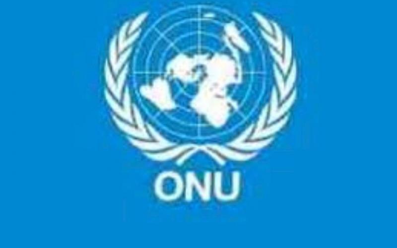 Organisation des Nations Unies ( ONU) 