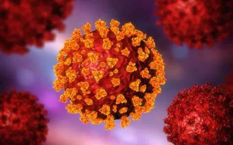 coronavirus