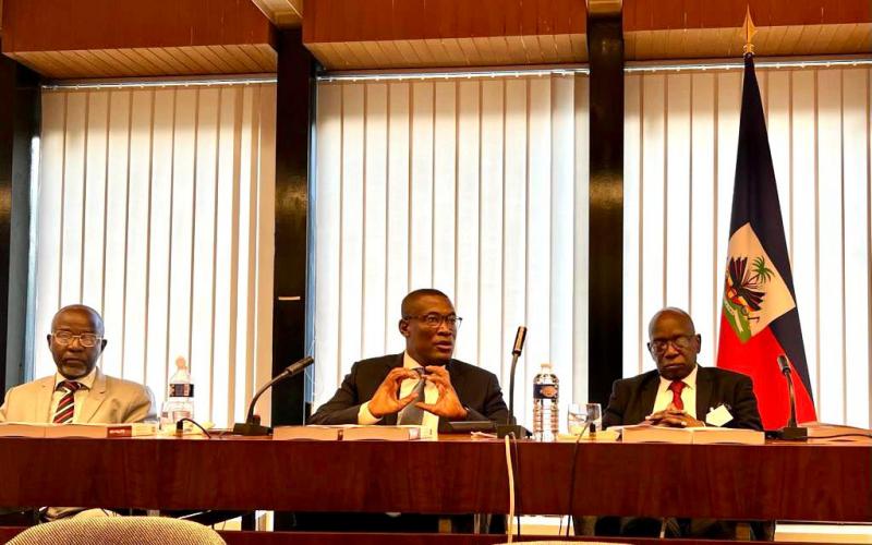 Prof KUYO, Dr Josué Pierre Louis, Prof Ndoba