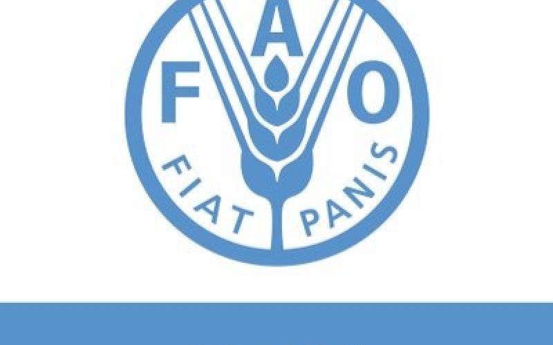 @FAOHaiti