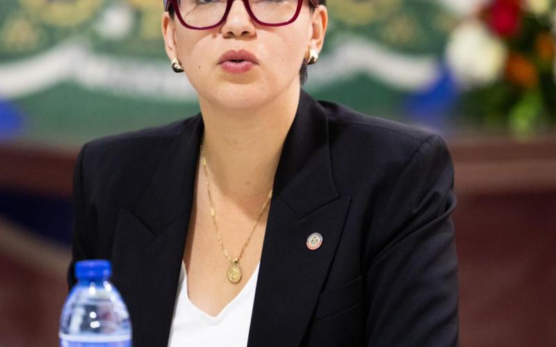 Dominique Dupuy