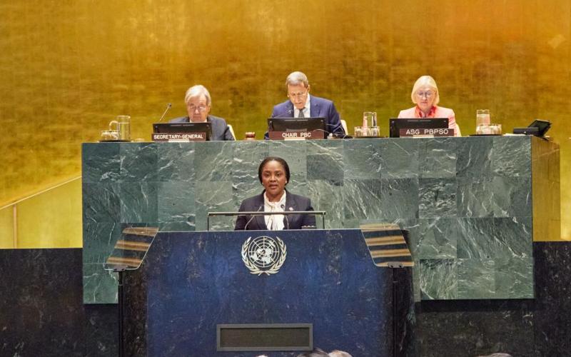 Dre Sandra Paulémon à l'ONU