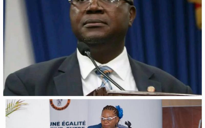 la Chambre de commerce et de l'industrie haïtiano-africaine (CCHA)