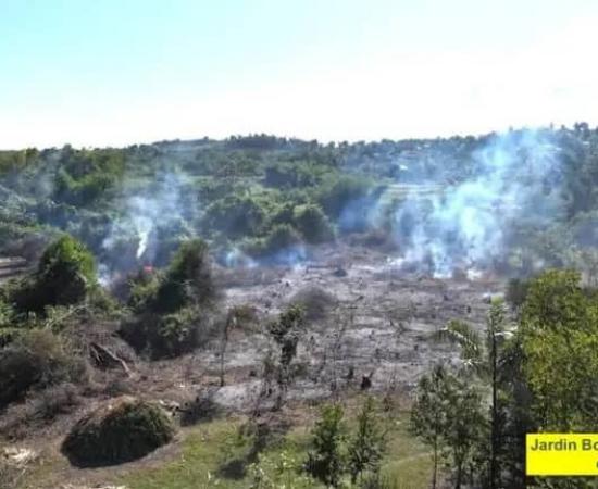 Incendie au Jardin botanique des Cayes